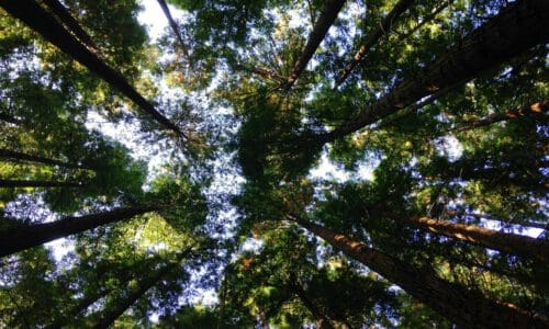 ESG Blog Series 2: Our Commitment to Sustainability
