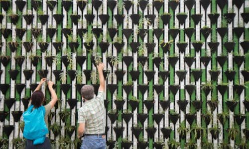 5 Ways Businesses Can Rethink Technology Strategies to Achieve Sustainability Goals