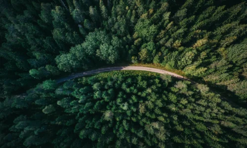 Employee-Friendly Ways to Make a Positive Impact on the Planet