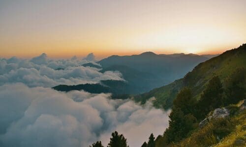 Microsoft Licensing in Transition